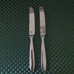 Cambridge TOWNHOUSE Dinner Knives Set Lot of 2 GLOSSY Stainless Bistro *FLAWS*